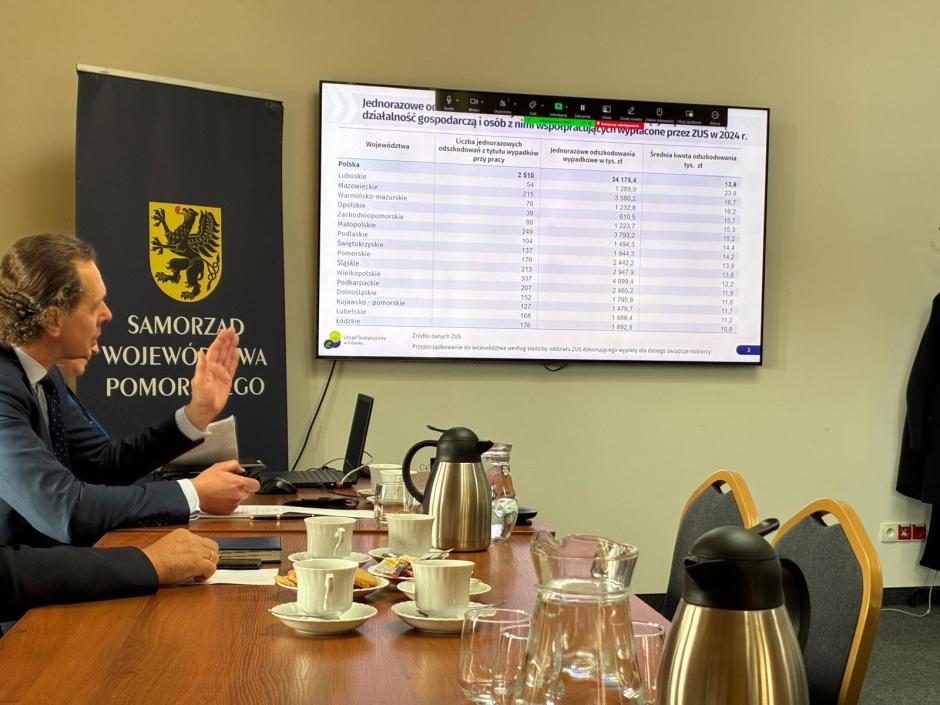 O wypadkach i bezpieczeństwie morskich farm wiatrowych na posiedzeniu Zespołu ds. społecznych WRDS