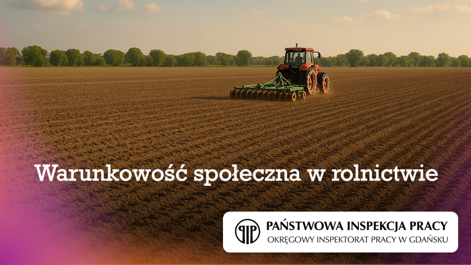 Warunkowość społeczna? Działania kontrolno-informacyjne Inspektoratu
